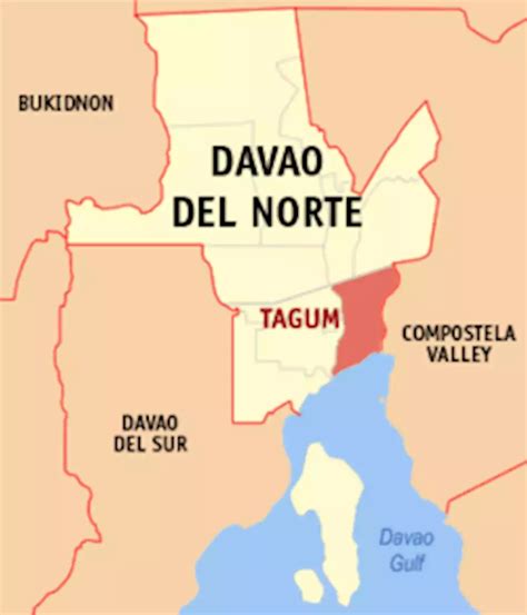 Davao del Norte Catholic school probes alleged student bullying .